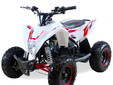 Квадроцикл Motax GEKKON 90cc