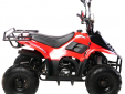 Квадроцикл Motax MIKRO 110 cc