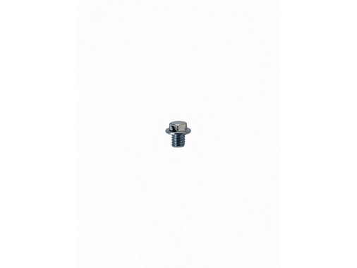 Болт слива масла М10х1.25х12 для редуктора HN-21